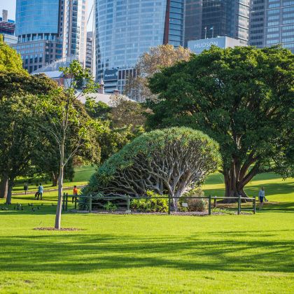 澳大利亚悉尼+悉尼歌剧院+海德公园+皇家植物园2日1晚私家团