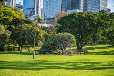 悉尼皇家植物园-悉尼-doris圈圈