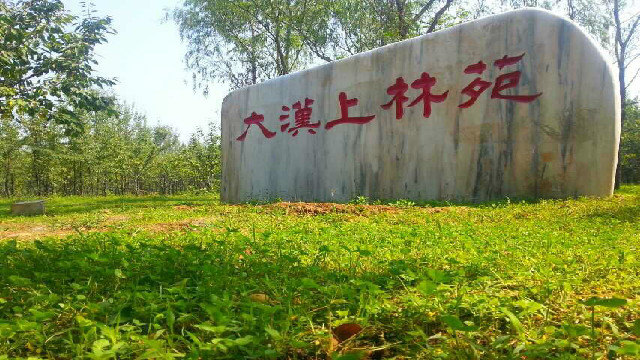 大汉上林苑