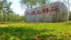 杜陵遗址公园-西安-AIian