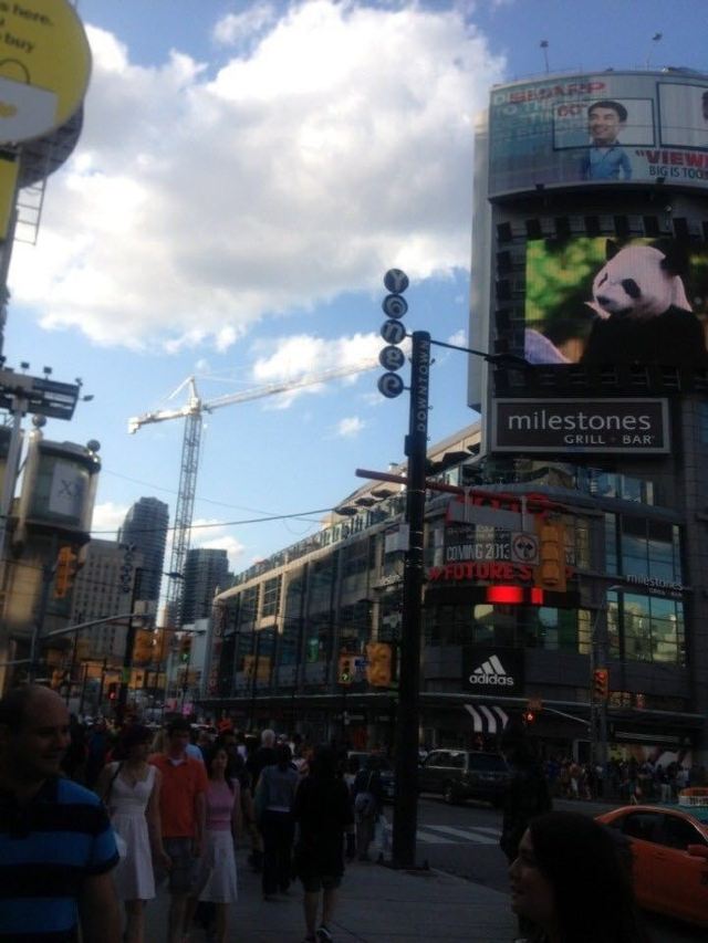 adidas yonge and dundas