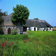 菲英村-欧登塞-doris圈圈