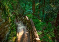 林恩峡谷公园-北温哥华-Hello_Yuanzi