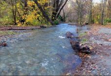 箭河-阿罗敦-one粽