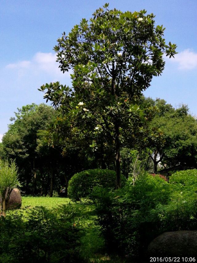 Zhujiang Park
