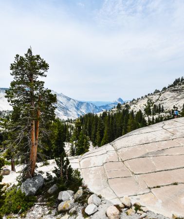 6D5N • San Francisco + Yosemite National Park