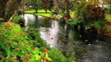 梦娜维尔花园-基督城-隔壁巷子的王胖子