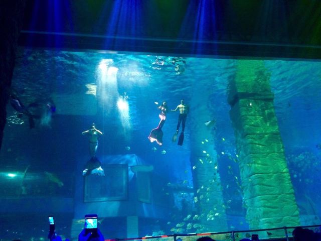 Grandview Aquarium