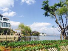 桃源村-大理市-YoYo_7O7V2U7Z