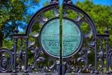 波士顿公园-波士顿-doris圈圈