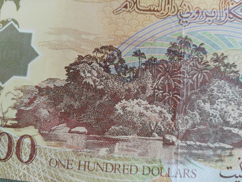 文莱目前用纸币一览