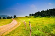 乌兰布统草原-克什克腾旗-doris圈圈