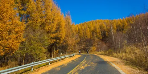 馬鞍山國家森林公園