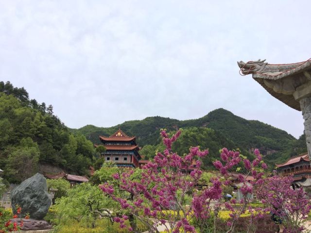 净土寺旅行图片 1