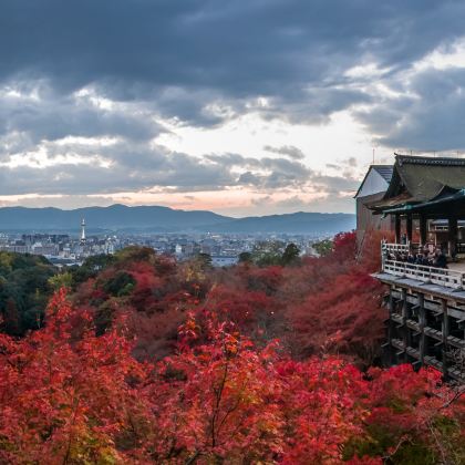 日本6日5晚私家团