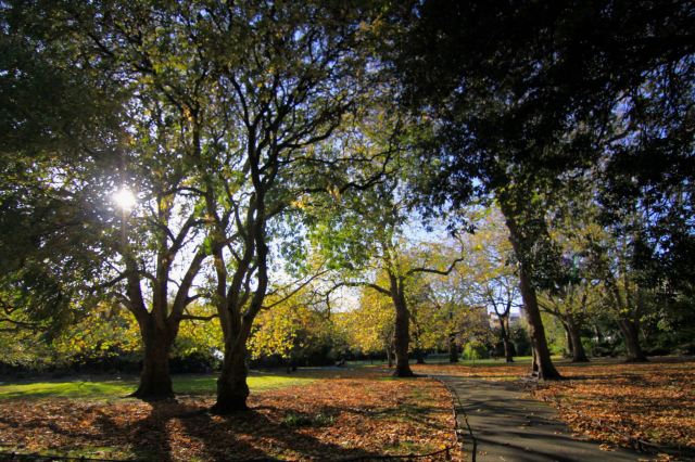 St. Stephen's Green