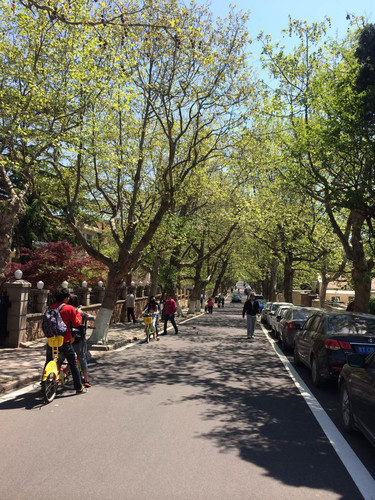 海水正蓝@青岛(人文、自然、亲子)