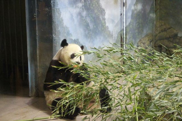 國家動物園