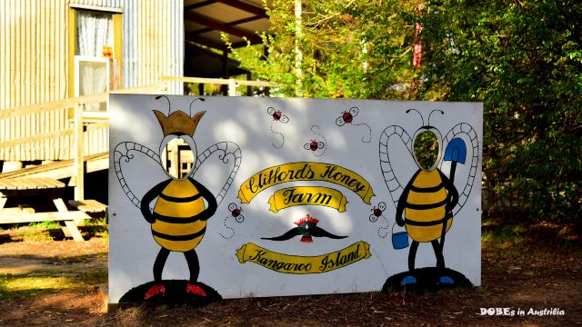 Clifford's Honey Farm