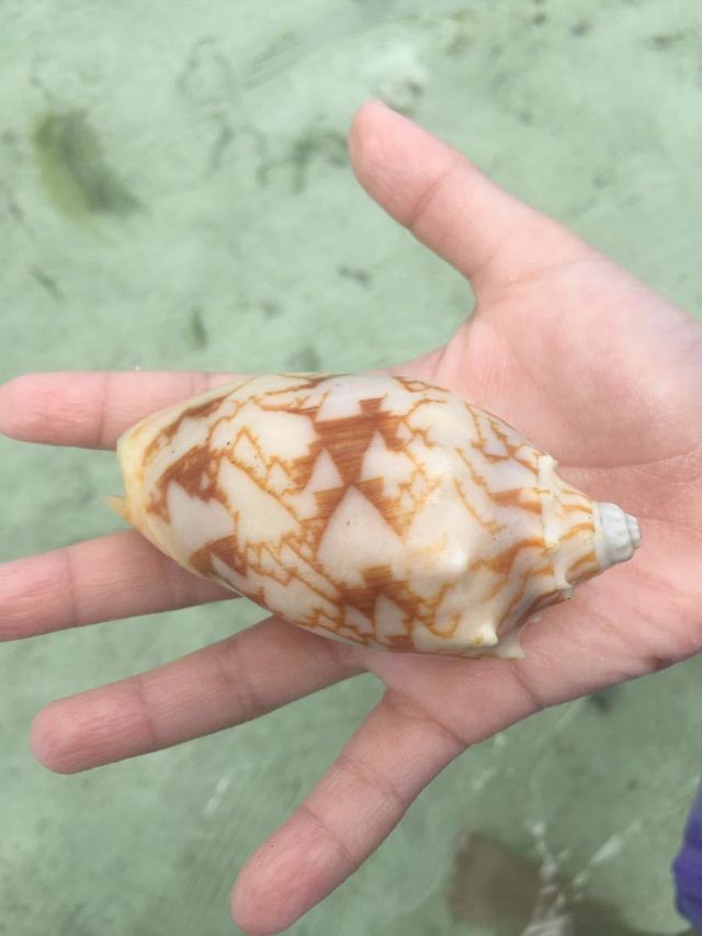 Virgin Island