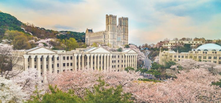 Kyunghee University Seoul Campus Tickets Deals Reviews - 