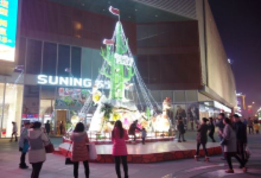 连云港苏宁广场购物图片