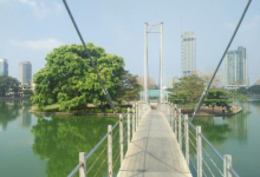 儿童公园景点图片