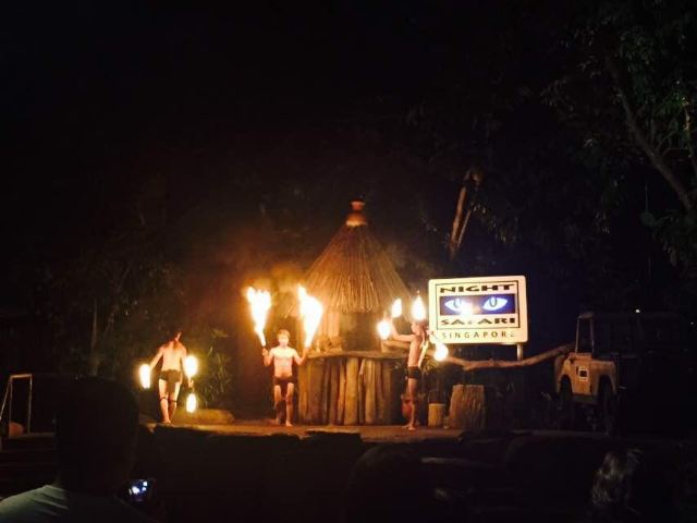 Night Safari