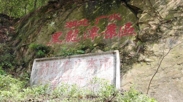 수탉 산