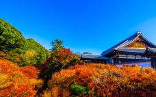 东福寺-京都-doris圈圈