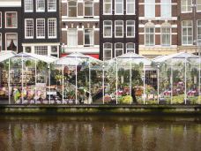 辛格鲜花市场-阿姆斯特丹-晚安小姐