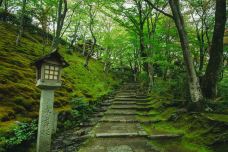 常寂光寺-京都-doris圈圈