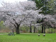 海柏公园-多伦多-doris圈圈