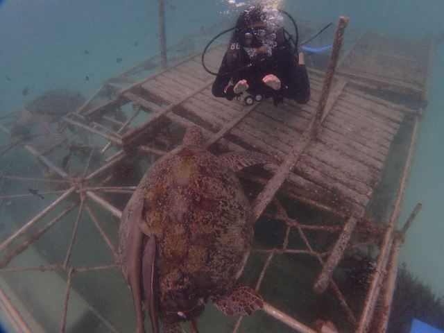 馬布島