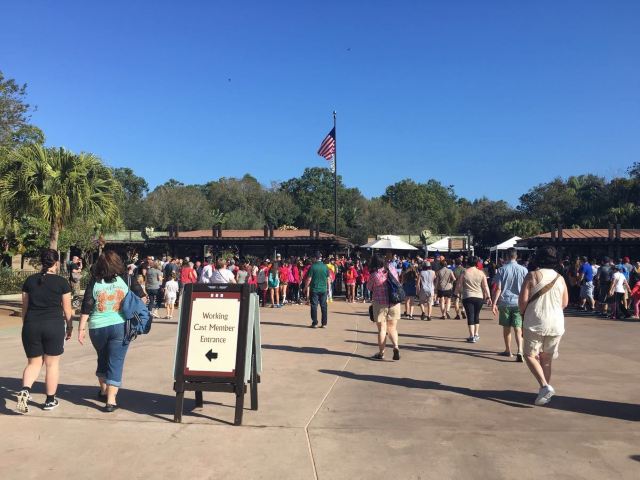 Walt Disney World