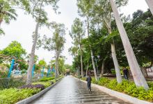 东莞人民公园景点图片