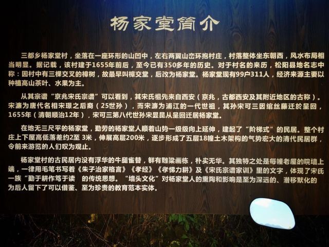 楊家堂村