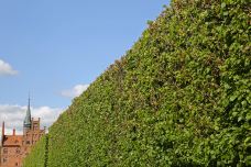 伊埃斯科城堡-Kvaerndrup-doris圈圈