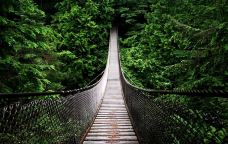 林恩峡谷公园-北温哥华-Hello_Yuanzi