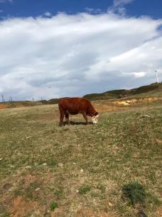 六盘水乌蒙山国家地质公园-六盘水-冈斯特