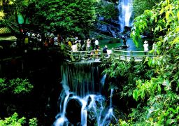 travel picture