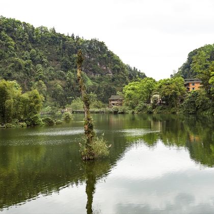 成都+峨眉山+乐山大佛+都江堰+青城山5日4晚跟团游