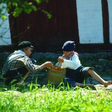 菲英村-欧登塞-doris圈圈