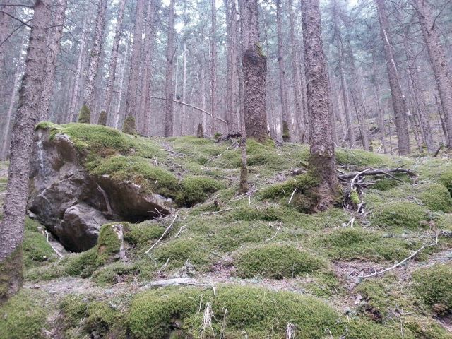 南寺風景區