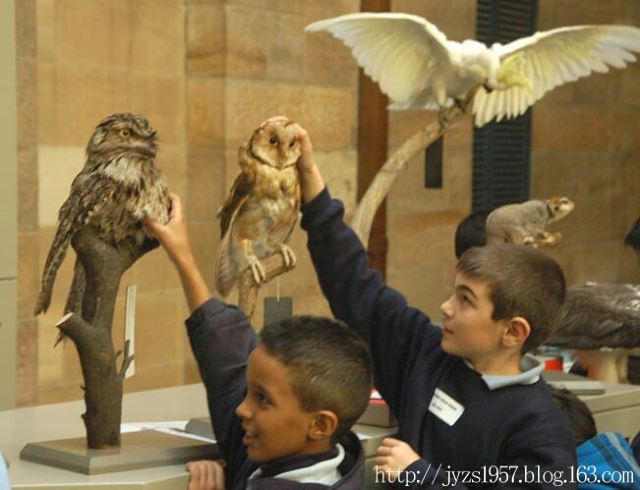 South Australian Museum