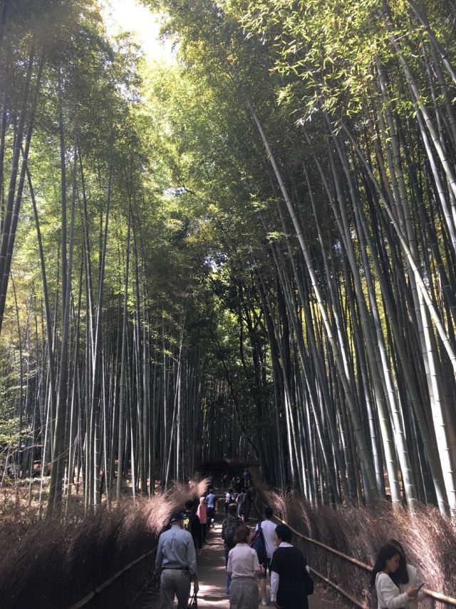 嵐山