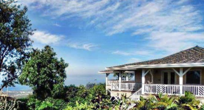 Lilikoi Cafe餐厅图片