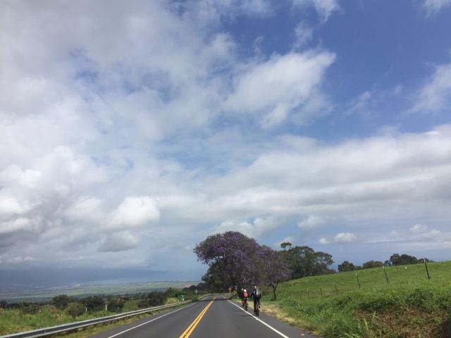 Maui
