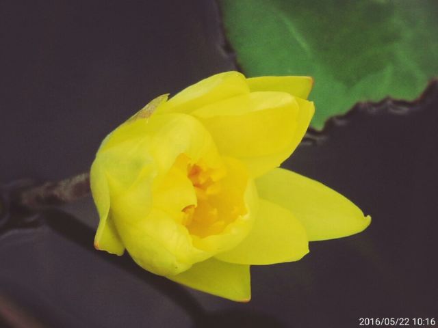 Zhujiang Park