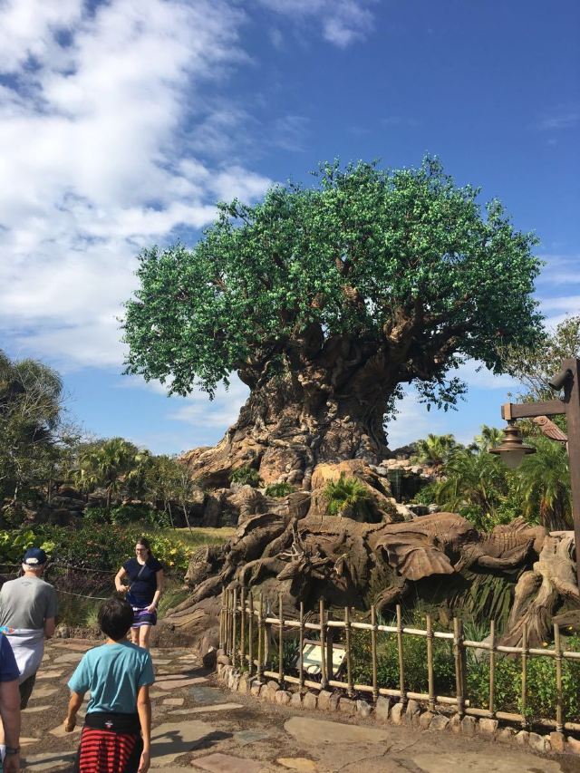 Walt Disney World